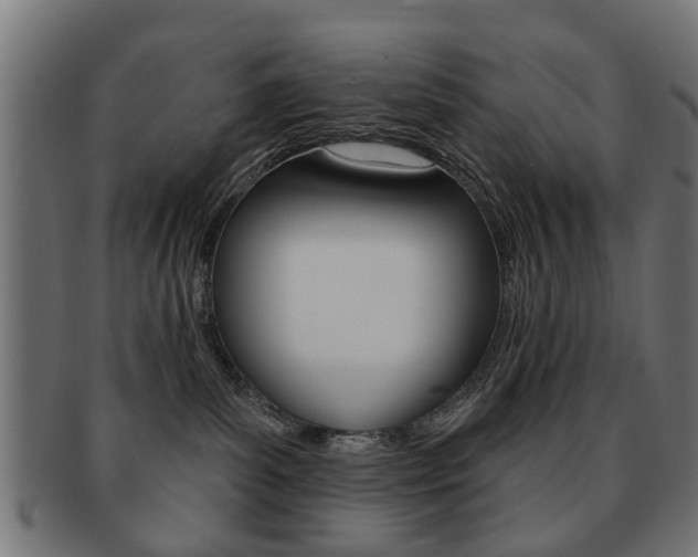 X0000091970139200709061139