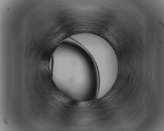 X0000091970141200709061139