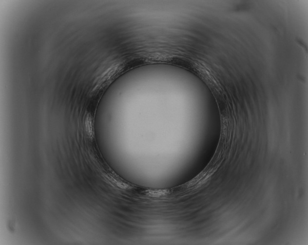 X0000091970143200709061139