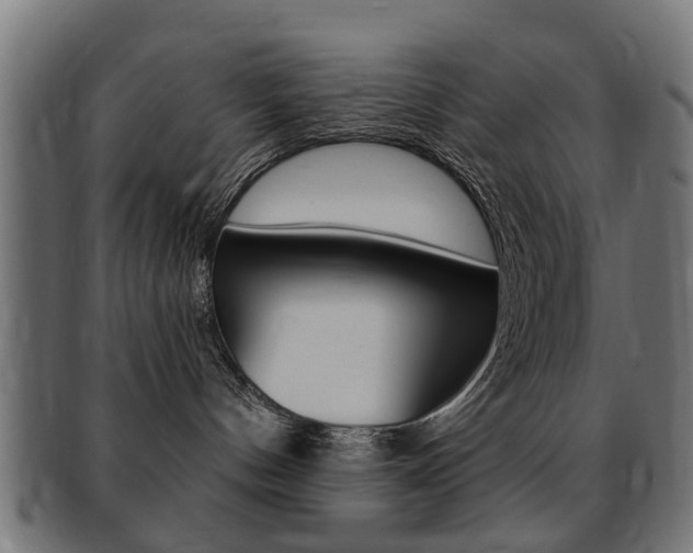 X0000091970144200709061139