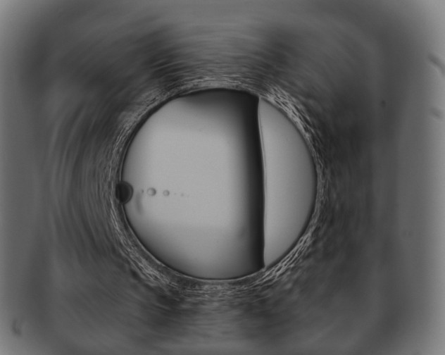 X0000091970145200709061139