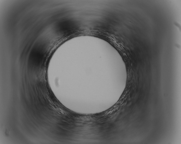 X0000091970146200709061139