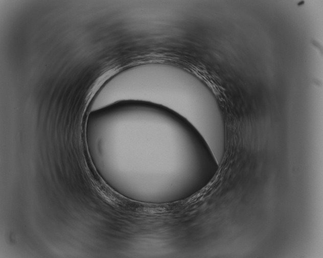 X0000091970147200709061139