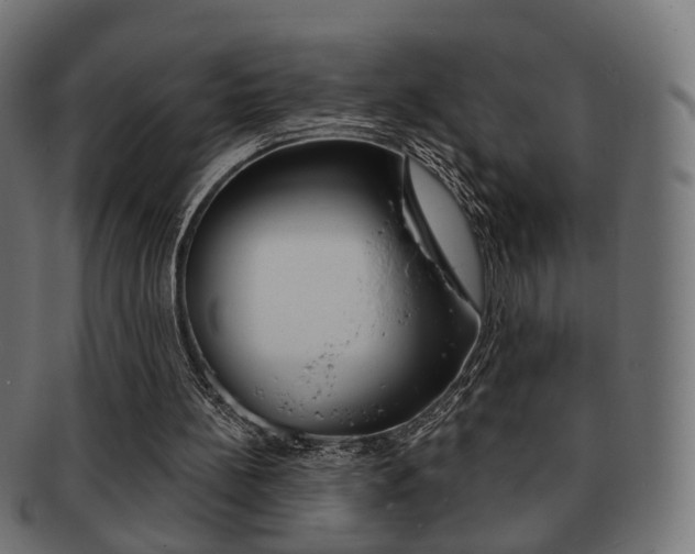 X0000091970148200709061139