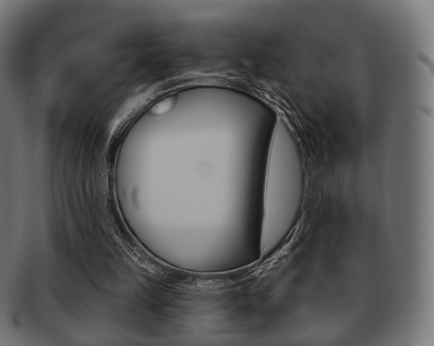 X0000091970149200709061139