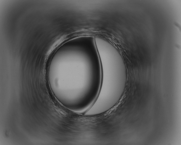 X0000091970150200709061139