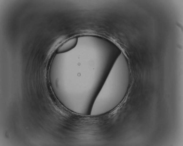 X0000091970151200709061139