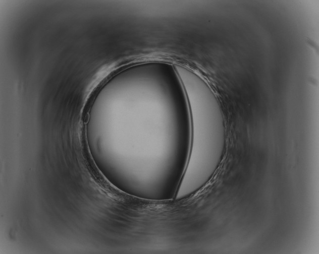 X0000091970152200709061139