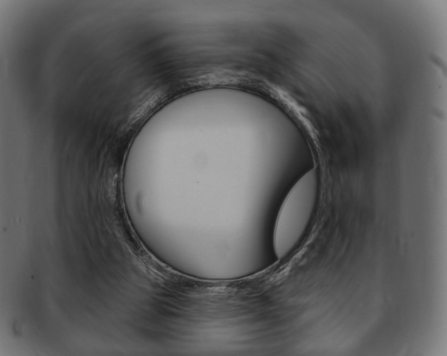 X0000091970153200709061139