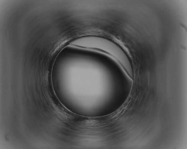 X0000091970154200709061139