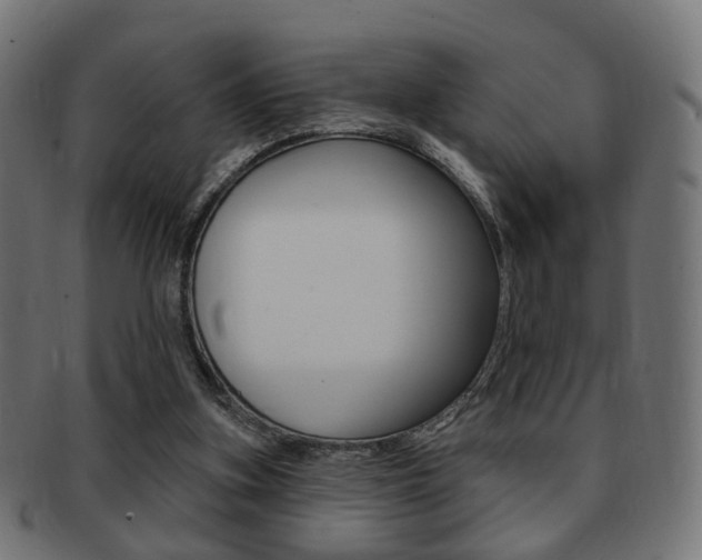 X0000091970155200709061139