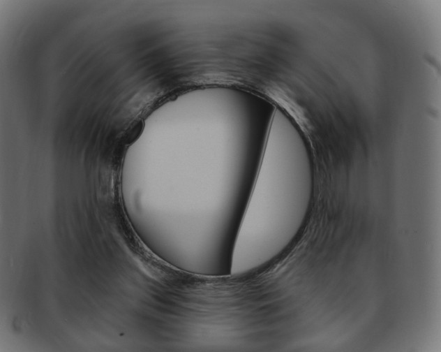X0000091970157200709061139