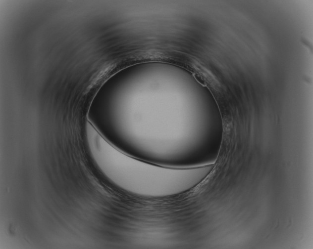 X0000091970158200709061139