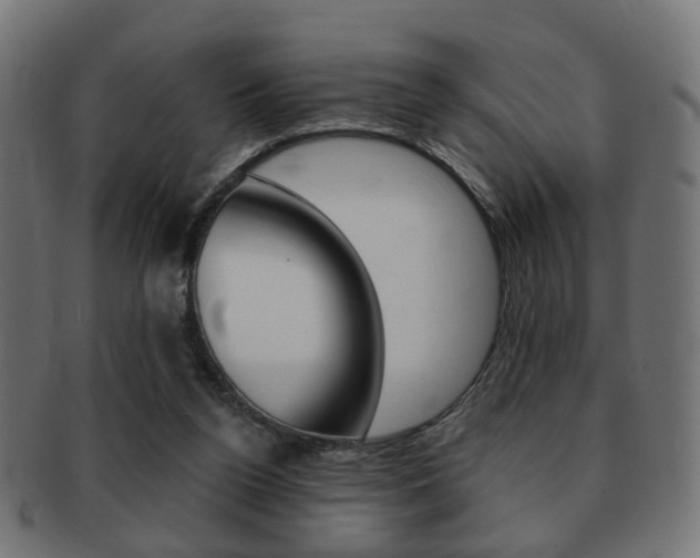 X0000091970160200709061139