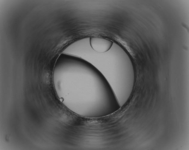 X0000091970161200709061139