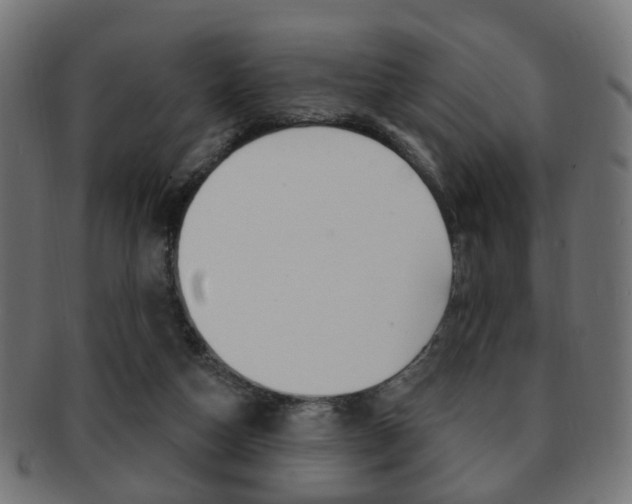 X0000091970162200709061139