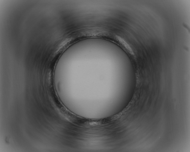 X0000091970163200709061139