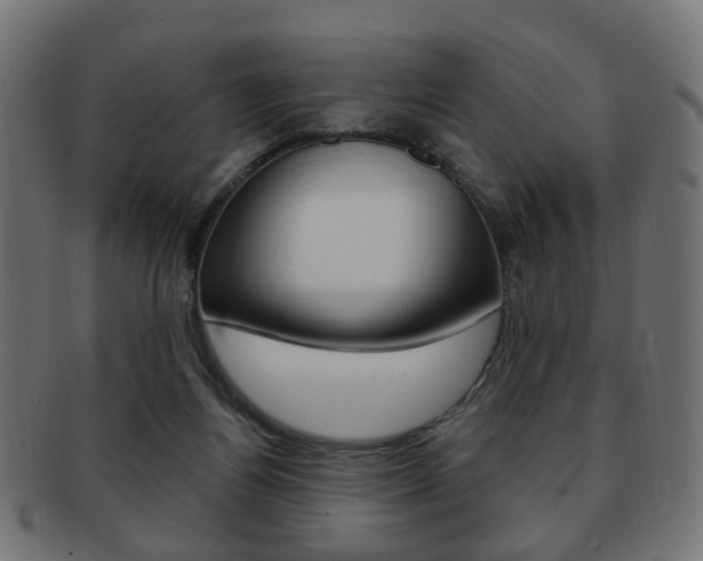 X0000091970164200709061139