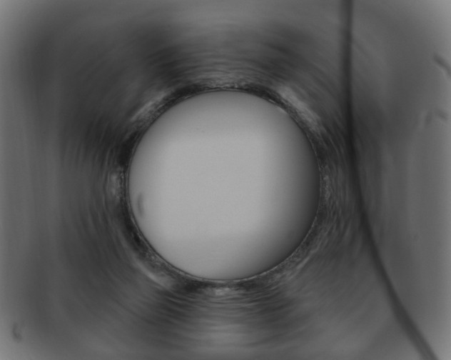 X0000091970165200709061139