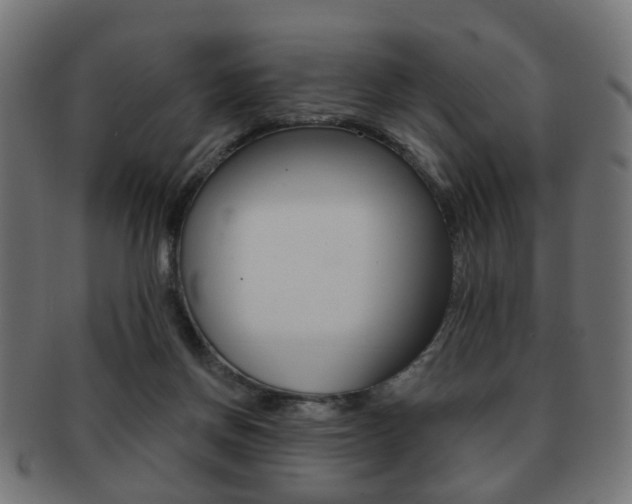 X0000091970166200709061139