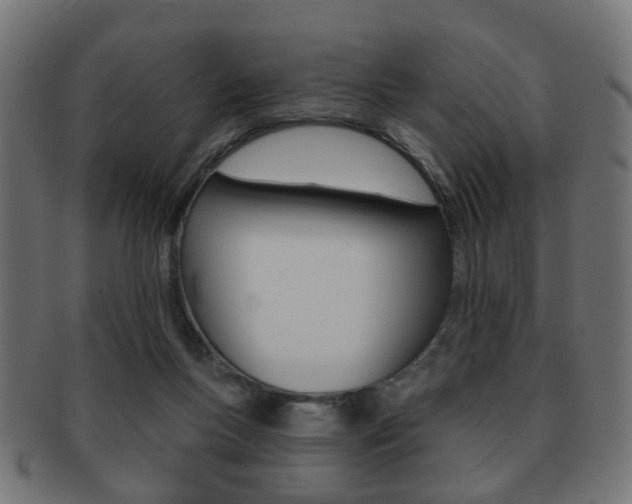 X0000091970167200709061139