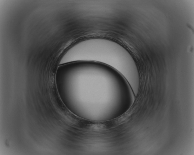 X0000091970168200709061139