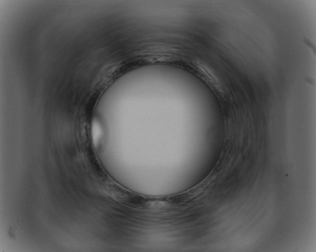 X0000091970169200709061139