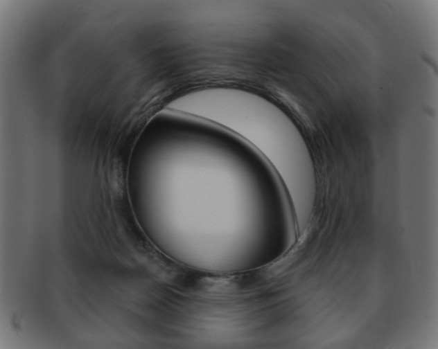 X0000091970170200709061139