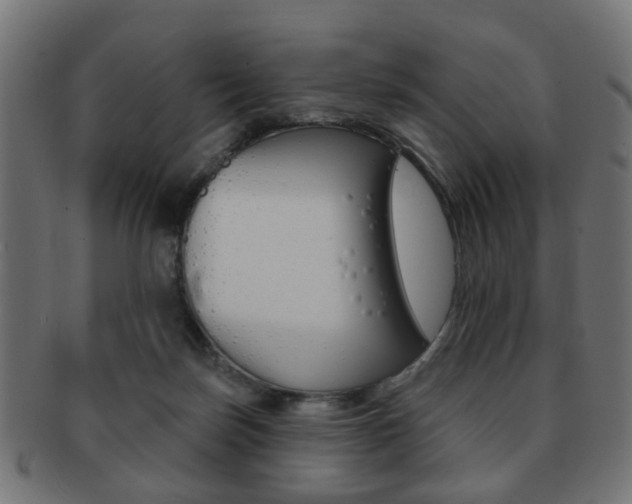 X0000091970171200709061139