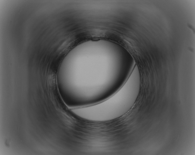 X0000091970172200709061139