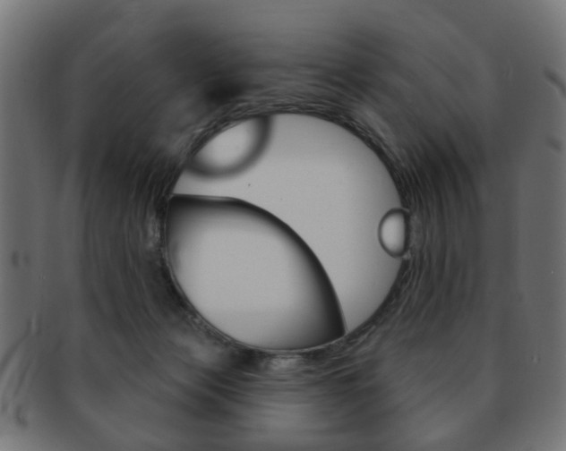 X0000091970173200709061139