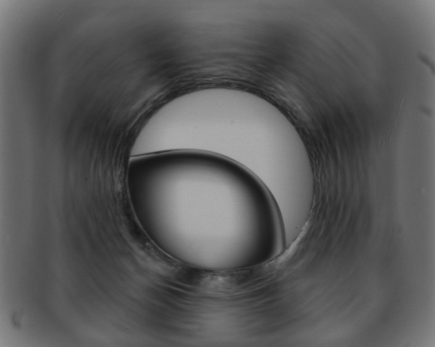 X0000091970174200709061139