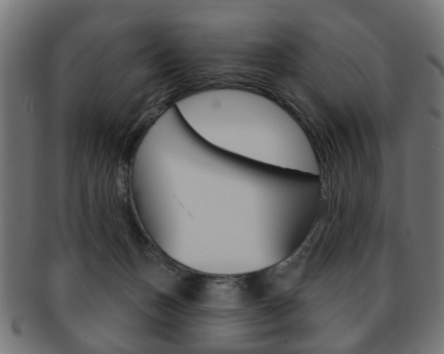 X0000091970175200709061139