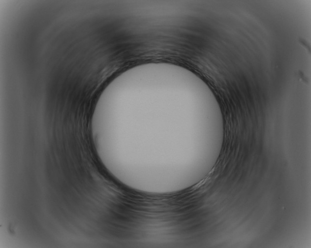 X0000091970176200709061139