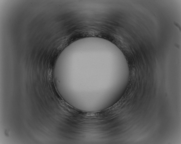 X0000091970177200709061139