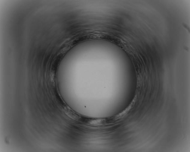 X0000091970178200709061139