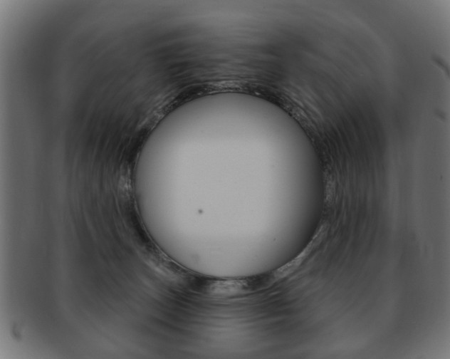 X0000091970179200709061139