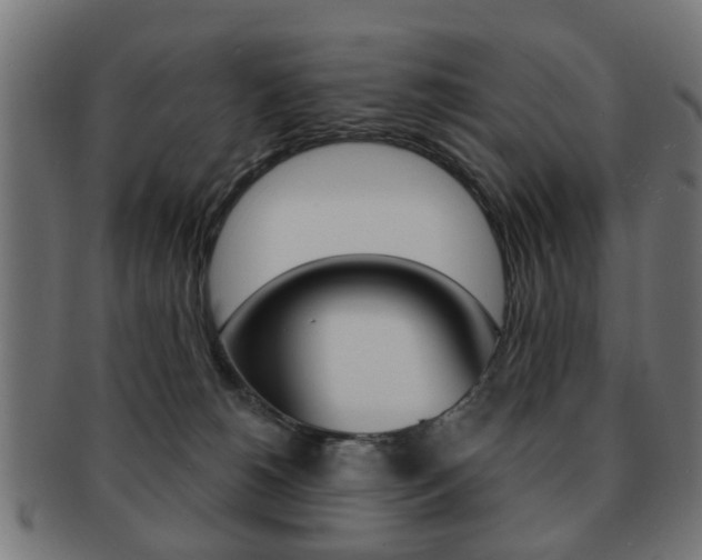 X0000091970180200709061139