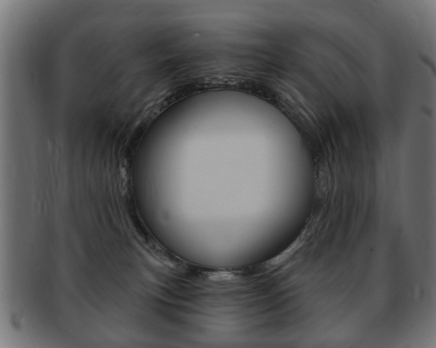 X0000091970183200709061139