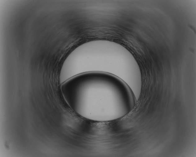 X0000091970184200709061139