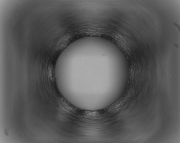 X0000091970185200709061139