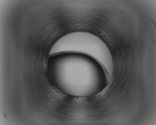 X0000091970186200709061139