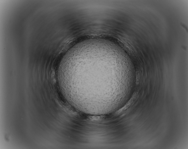 X0000091970187200709061139