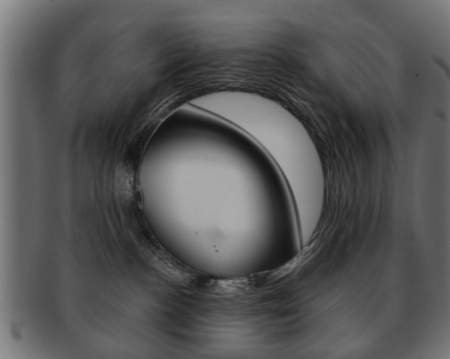 X0000091970188200709061139