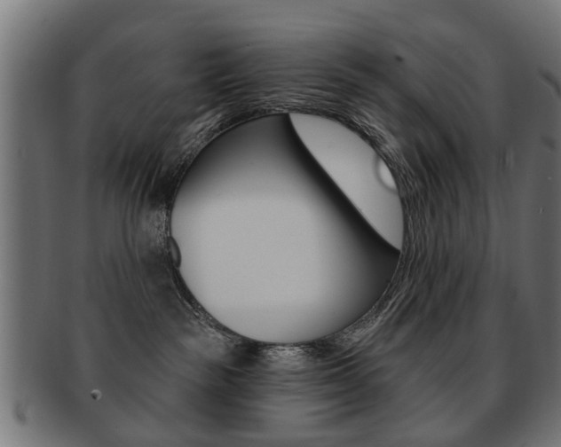 X0000091970189200709061139