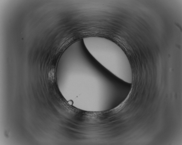 X0000091970190200709061139