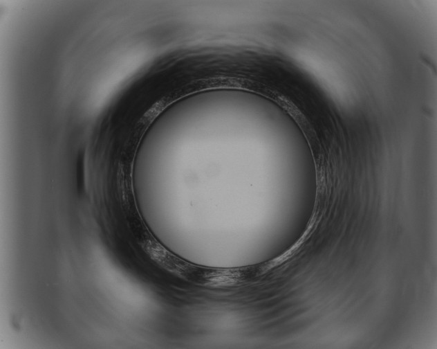 X0000091970191200709061139