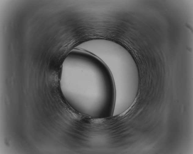 X0000091970192200709061139