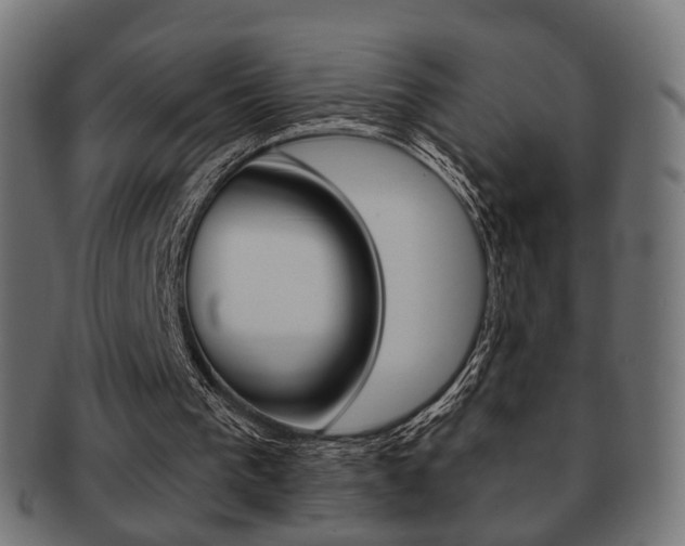 X0000091970193200709061139