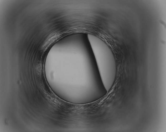 X0000091970194200709061139